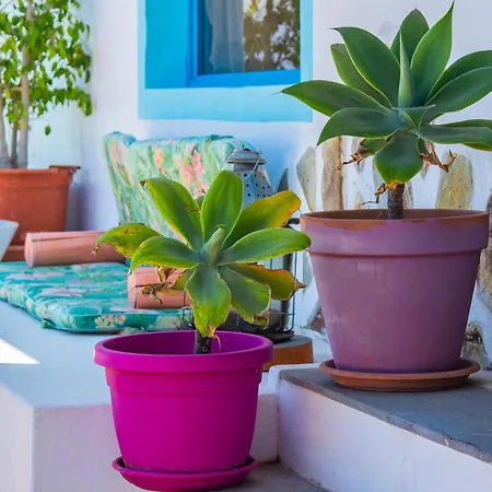 Eco Casa Salitre,montana, Campo Y Playa Апартаменты *